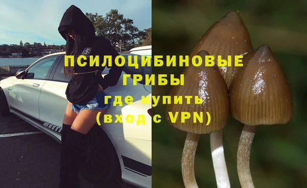 герыч Верея