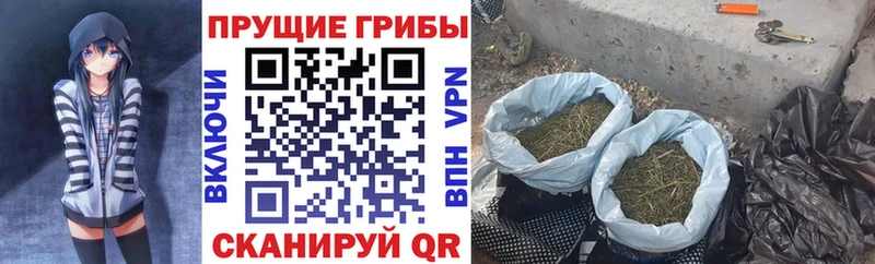 Галлюциногенные грибы Cubensis  цены наркотик  Егорьевск 